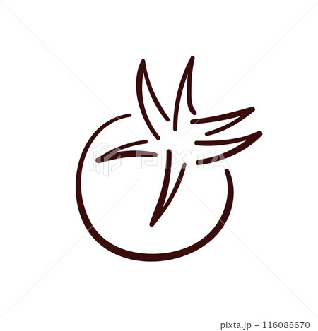 Tomato icon in line art style. Simple design. Vector illustration isolated on a white background. 116088670
