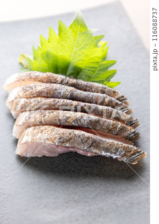 おいしい炙りさわらの刺身 116088737