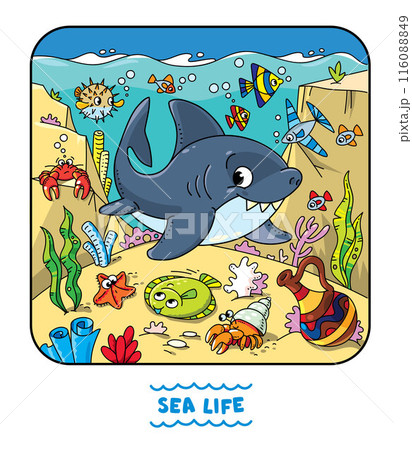 Sea theme. Shark. Kids vector illustration. Sea theme. Shark. Kids vector illustration. 116088849