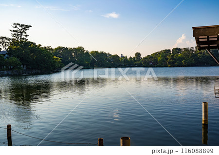 井の頭恩賜公園の井の頭池の風景 116088899