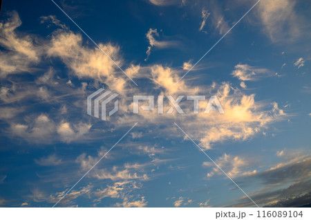 Real day sky - real blue sky during daytime with white light clouds Freedom and peace 2 116089104