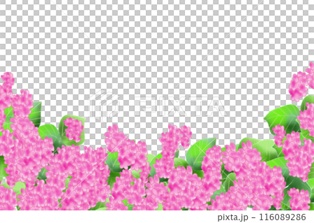 藍(アイ)の花のカード2 藍(アイ)の花のカード2 116089286