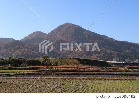 二上山の秋風景 116089492