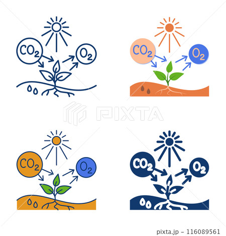 Photosynthesis process flat and line icon set 116089561