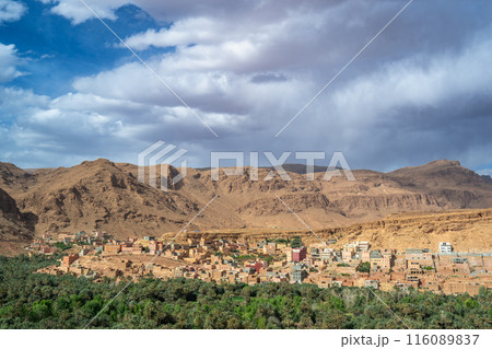 Verdant Oasis at Todra Gorges, Morocco. 116089837