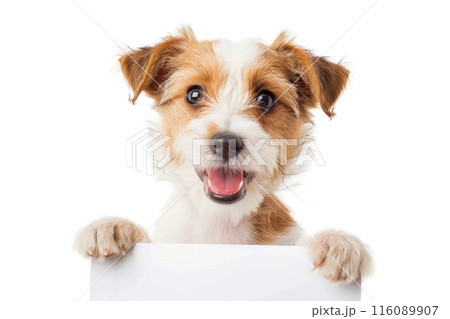 Adorable Dog Holding Blank Sign - Perfect for Messages and Announcements Adorable Dog Holding Blank Sign - Perfect for Messages and Announcements 116089907