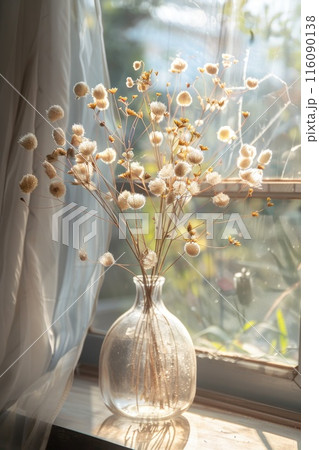 Sunlit Vintage Glass Vase with Dried Flowers by Window Sunlit Vintage Glass Vase with Dried Flowers by Window 116090138