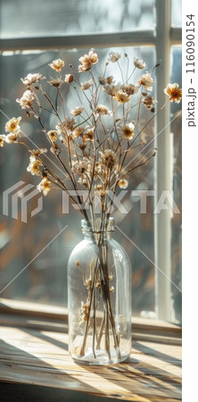 Sunlit Vintage Glass Vase with Dried Flowers by Window Sunlit Vintage Glass Vase with Dried Flowers by Window 116090154