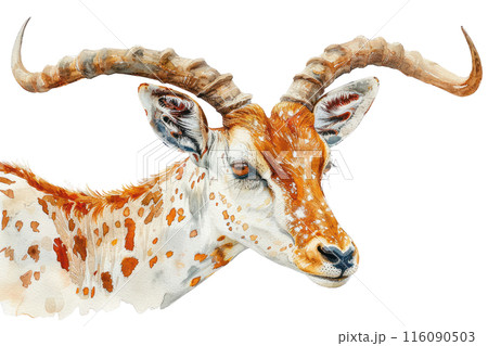 AnkoleWatusi, Pastel-colored, in hand-drawn style, watercolor, isolated on white background AnkoleWatusi, Pastel-colored, in hand-drawn style, watercolor, isolated on white background 116090503