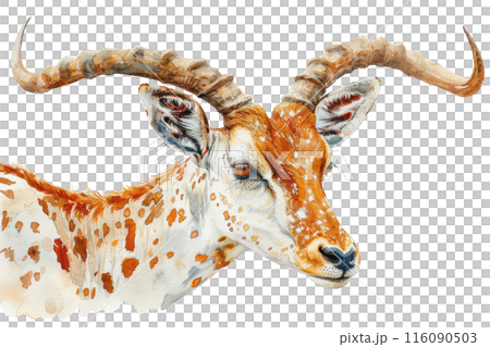 AnkoleWatusi, Pastel-colored, in hand-drawn style, watercolor, isolated on white background AnkoleWatusi, Pastel-colored, in hand-drawn style, watercolor, isolated on white background 116090503