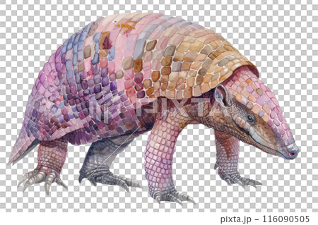 Armadillo, Pastel-colored, in hand-drawn style, watercolor, isolated on white background 116090505