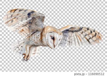 Barn owl, Pastel-colored, in hand-drawn style, watercolor, isolated on white background 116090512
