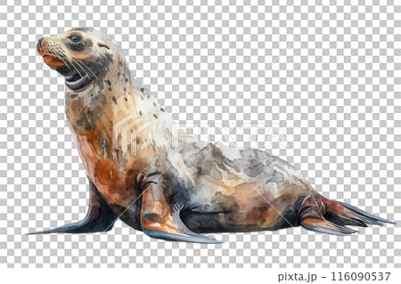 California sea lion, Pastel-colored, in hand-drawn style, watercolor, isolated on white background California sea lion, Pastel-colored, in hand-drawn style, watercolor, isolated on white background 116090537