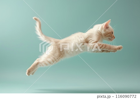 Javanese cat Jumping and remaining in mid-air, studio lighting, isolated on pastel background, stock photographic style 116090772