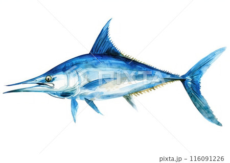 Blue marlin,  Pastel-colored, in hand-drawn style, watercolor, isolated on white background Blue marlin,  Pastel-colored, in hand-drawn style, watercolor, isolated on white background 116091226
