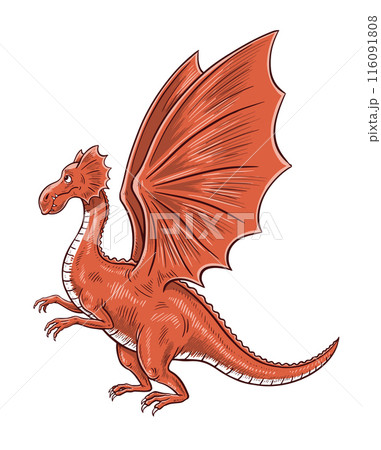 Good red dragon with wings 116091808