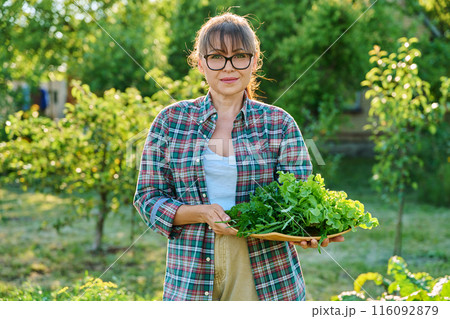 Smiling woman gardener farmer with harvest of greens, herbs in garden Smiling woman gardener farmer with harvest of greens, herbs in garden 116092879