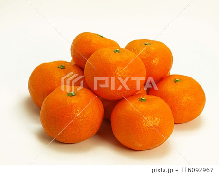 小粒の早生ミカン 116092967