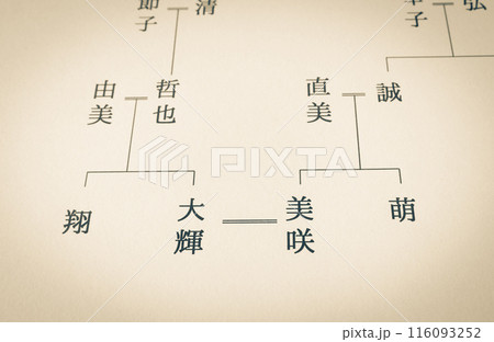家系図　夫婦　婿　婿養子　相続 116093252