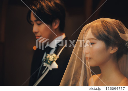 結婚式に挑む新郎新婦 結婚式に挑む新郎新婦 116094757