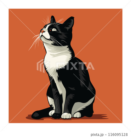 Black white cat sitting, looking upwards attentively, orange background. Detailed fur texture, whiskers, bright eyes capture felines essence. Illustration domestic cat, petlovers artwork, realistic 116095128