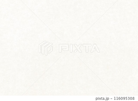 フェルト素材白 116095308