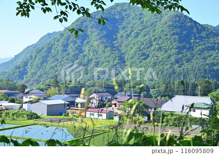 樹木の間から垣間見る農村風景　国道17号　街道沿い　 116095809