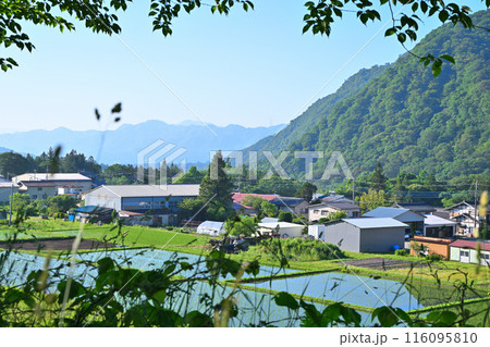 樹木の間から垣間見る農村風景　国道17号　街道沿い　 116095810
