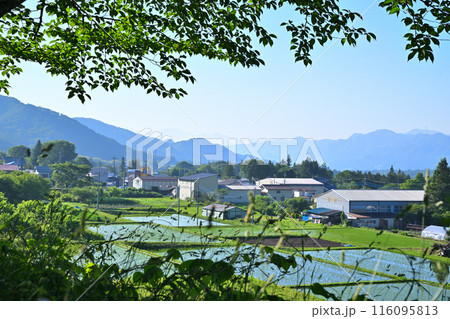 樹木の間から垣間見る農村風景 国道17号 街道沿い 樹木の間から垣間見る農村風景 国道17号 街道沿い 116095813