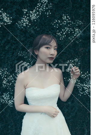 ウエディングドレスを着た新婦 ウエディングドレスを着た新婦 116095976