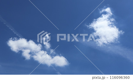青空に浮かぶ雲 116096360