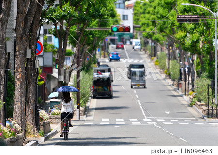 真夏の京都の坂道 116096463