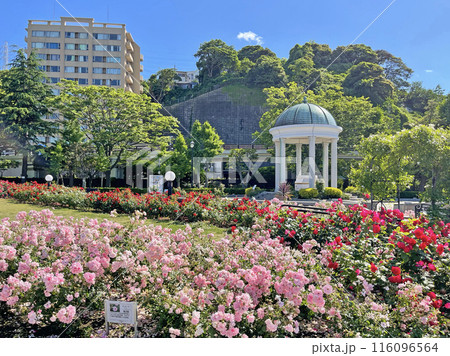 横須賀ヴェルニー公園　神奈川県横須賀市汐入町 116096564