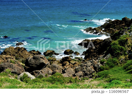 白波が立つ海岸と青い海 116096567