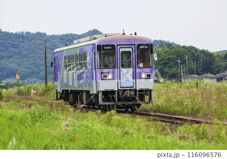 初夏の北条鉄道 116096576