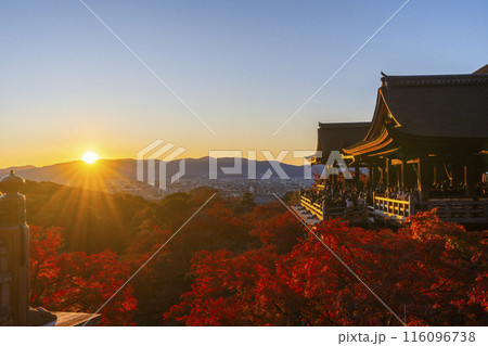 秋の京都 夕暮れの清水寺 清水の舞台と紅葉 秋の京都 夕暮れの清水寺 清水の舞台と紅葉 116096738