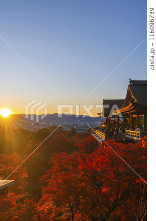 秋の京都　夕暮れの清水寺　清水の舞台と紅葉 116096739