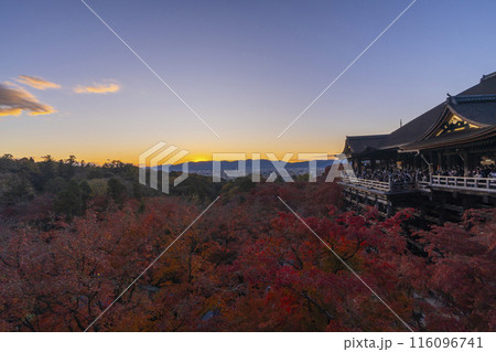 秋の京都　夕暮れの清水寺　清水の舞台と紅葉 116096741