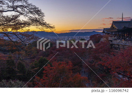 秋の京都 夕暮れの清水寺 清水の舞台と紅葉 秋の京都 夕暮れの清水寺 清水の舞台と紅葉 116096742
