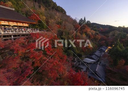 秋の京都 夕暮れの清水寺 奥の院 秋の京都 夕暮れの清水寺 奥の院 116096745