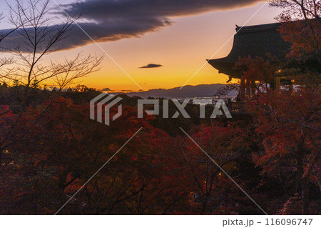 秋の京都 夕暮れの清水寺 清水の舞台と紅葉 秋の京都 夕暮れの清水寺 清水の舞台と紅葉 116096747