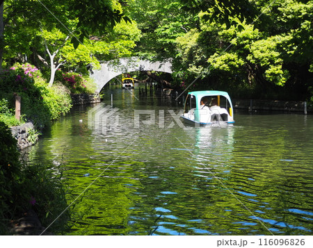 石神井公園 石神井公園 116096826