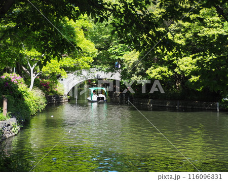 石神井公園 石神井公園 116096831