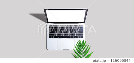 Laptop computer with tropical leaf Laptop computer with tropical leaf 116096844