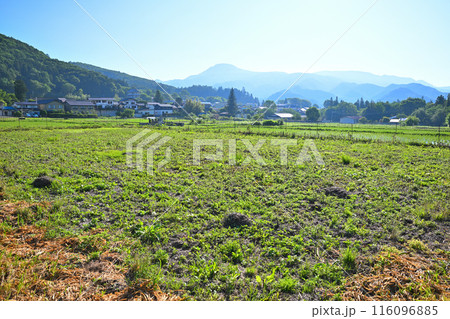 緑に映える農村風景　猿ヶ京温泉　赤谷湖畔　 116096885