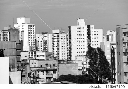 サンパウロのビル群 ブラジル サンパウロのビル群 ブラジル 116097190