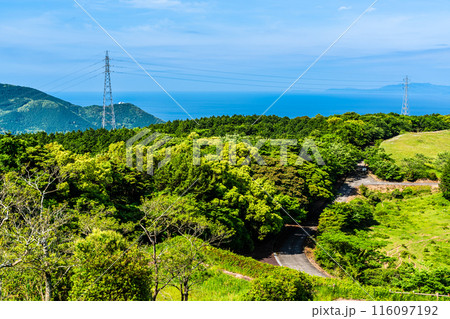 新緑の牧場の里あづま【長崎県雲仙市】 新緑の牧場の里あづま【長崎県雲仙市】 116097192