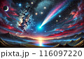 流れる彗星 116097220