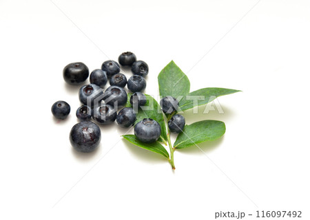 ブルーベリー 116097492