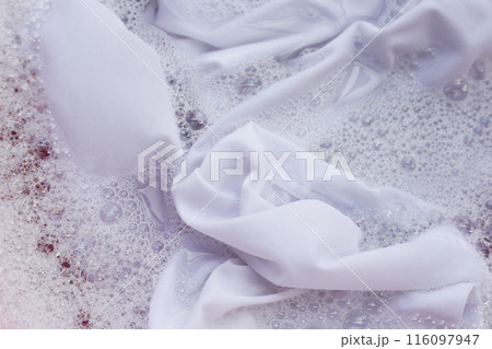 Laundry concept, white shirt soaking in water with detergent water dissolution, washing cloth Laundry concept, white shirt soaking in water with detergent water dissolution, washing cloth 116097947